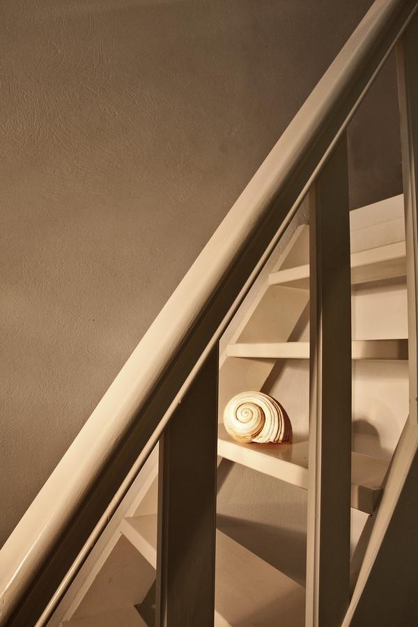 איריה Anastasias Apartments מראה חיצוני תמונה